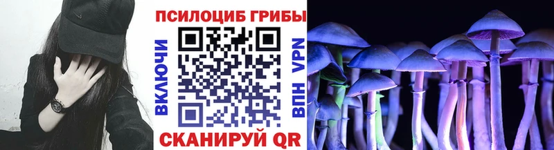 Псилоцибиновые грибы Magic Shrooms  закладка  Завитинск 