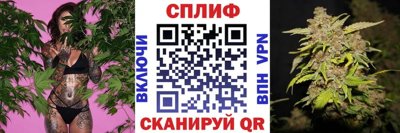 Каннабис MAZAR Завитинск